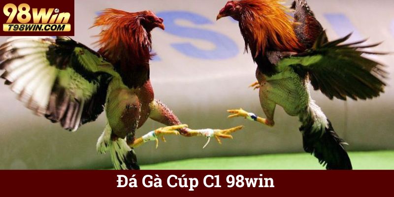 Đá Gà Cúp C1 98win 🐓 Trực Tuyến, Tỷ Lệ Kèo Hấp Dẫn 4 Đá Gà Cúp C1 98win